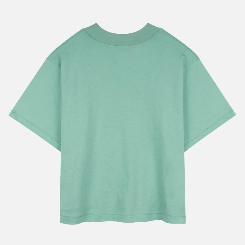 Calico cat Snooze, cat always good for sleeping