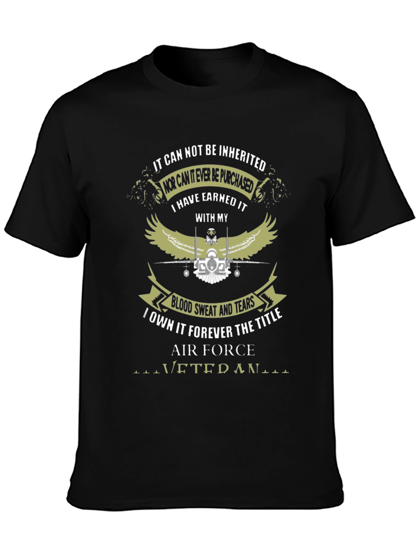 Air Force Veteran Graphic T-Shirt