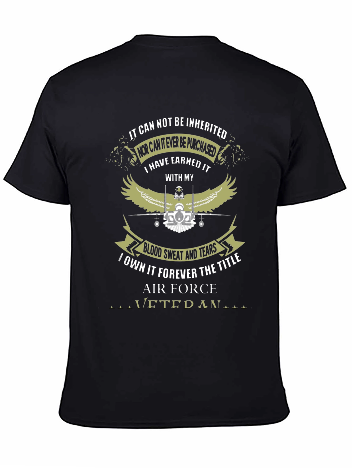 Air Force Veteran Graphic T-Shirt