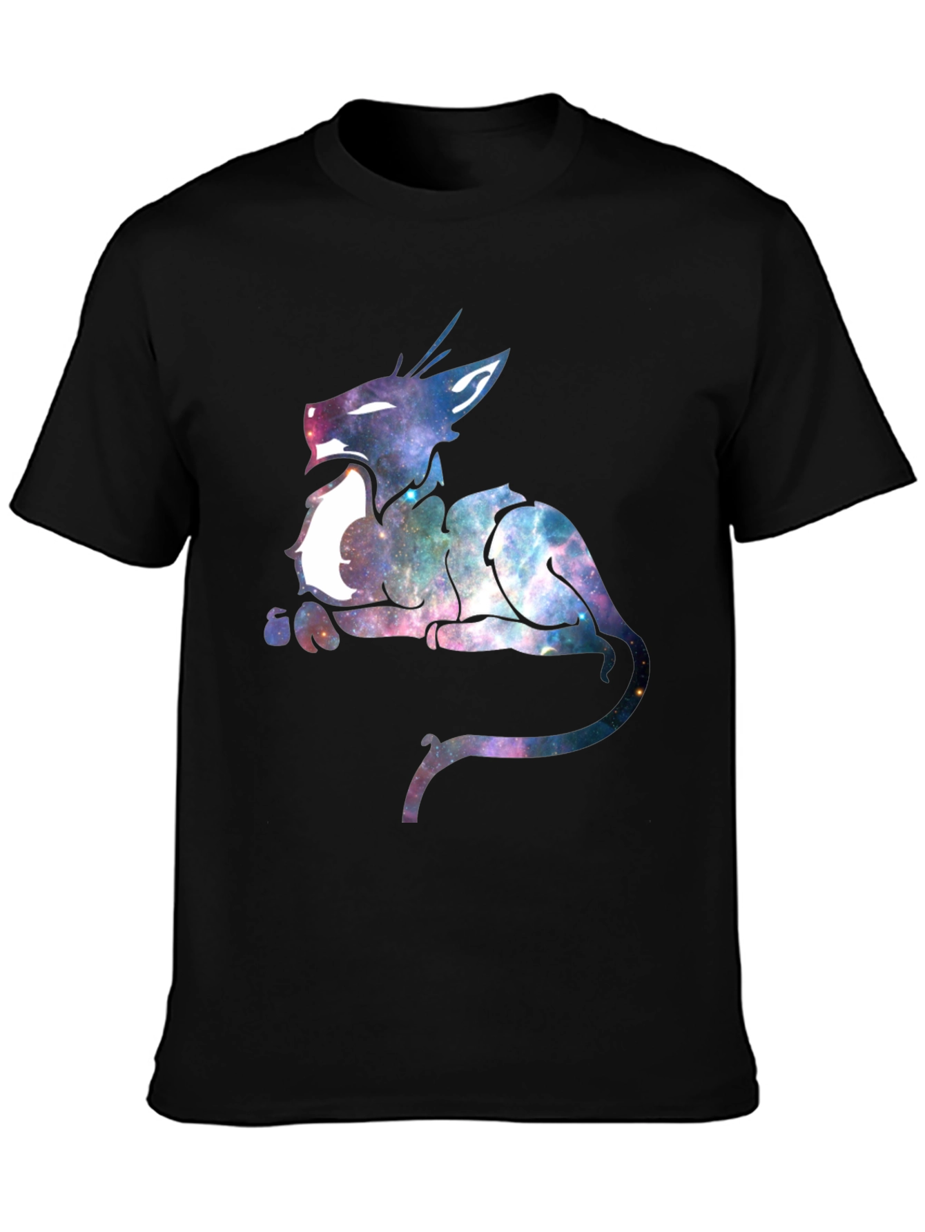 Galaxy Cat Graphic Print Black T-Shirt