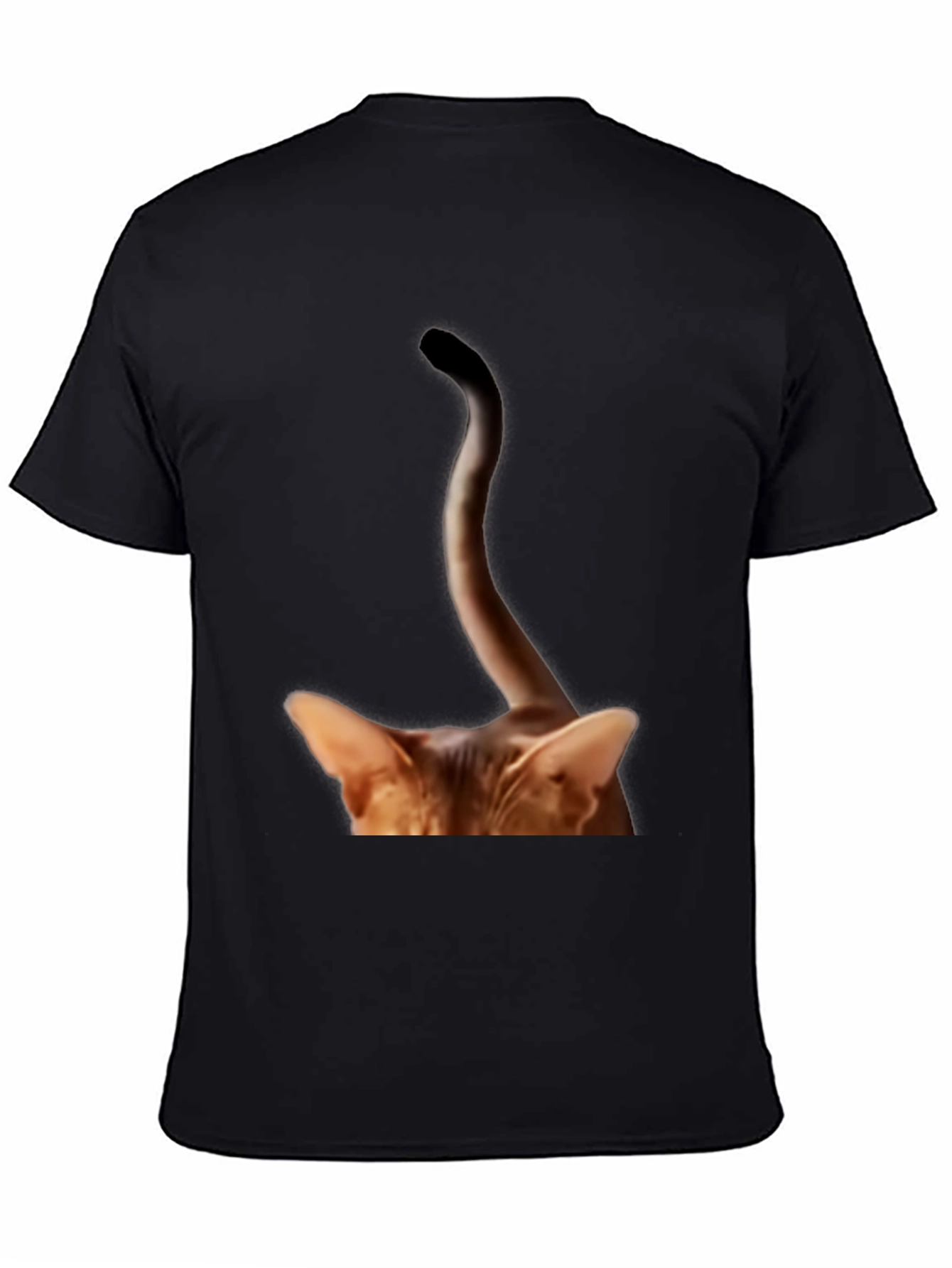 Cat Tail Peek T-Shirt - Quirky Animal Tee