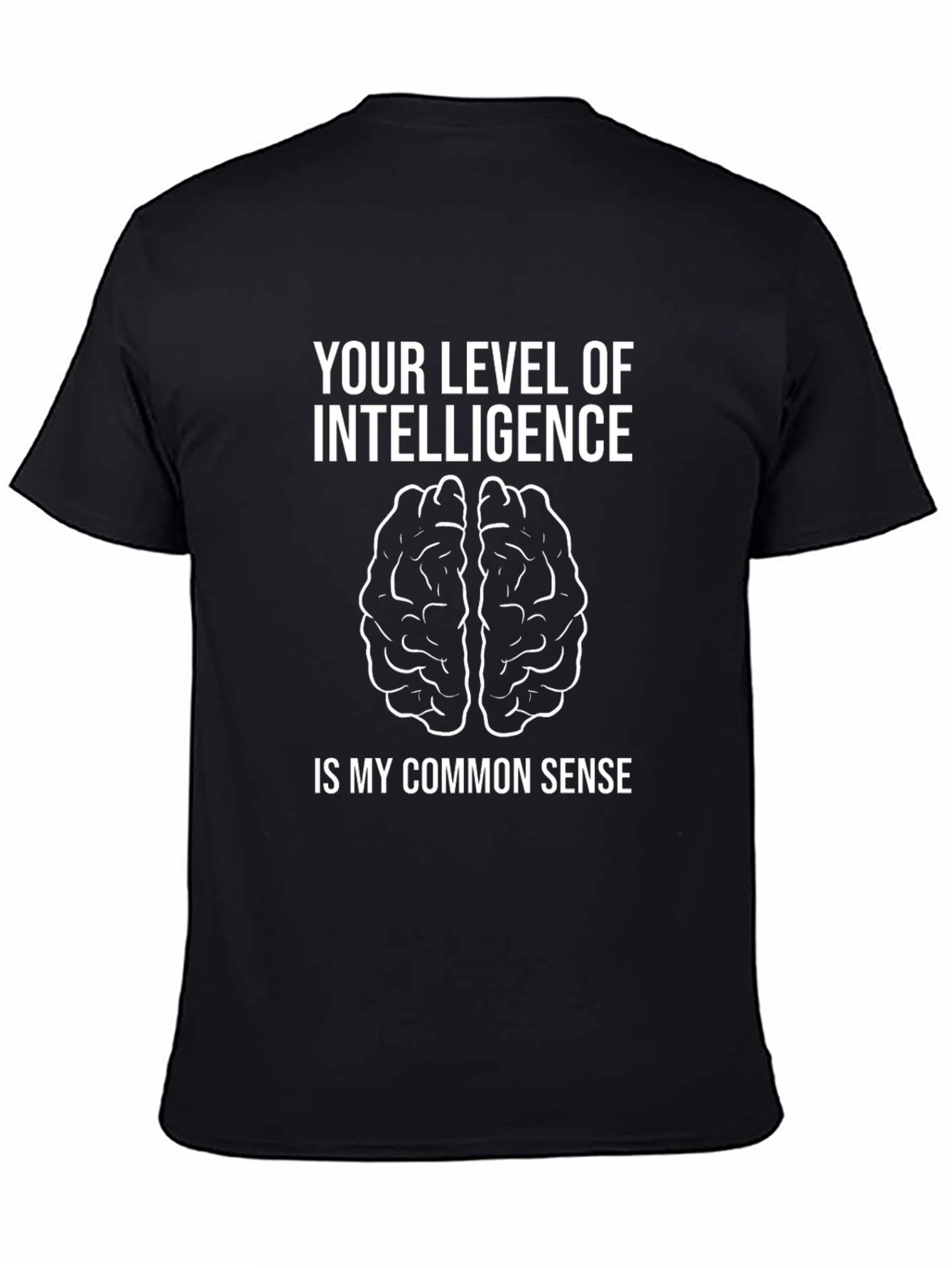 Intelligence Humor T-Shirt - Common Sense