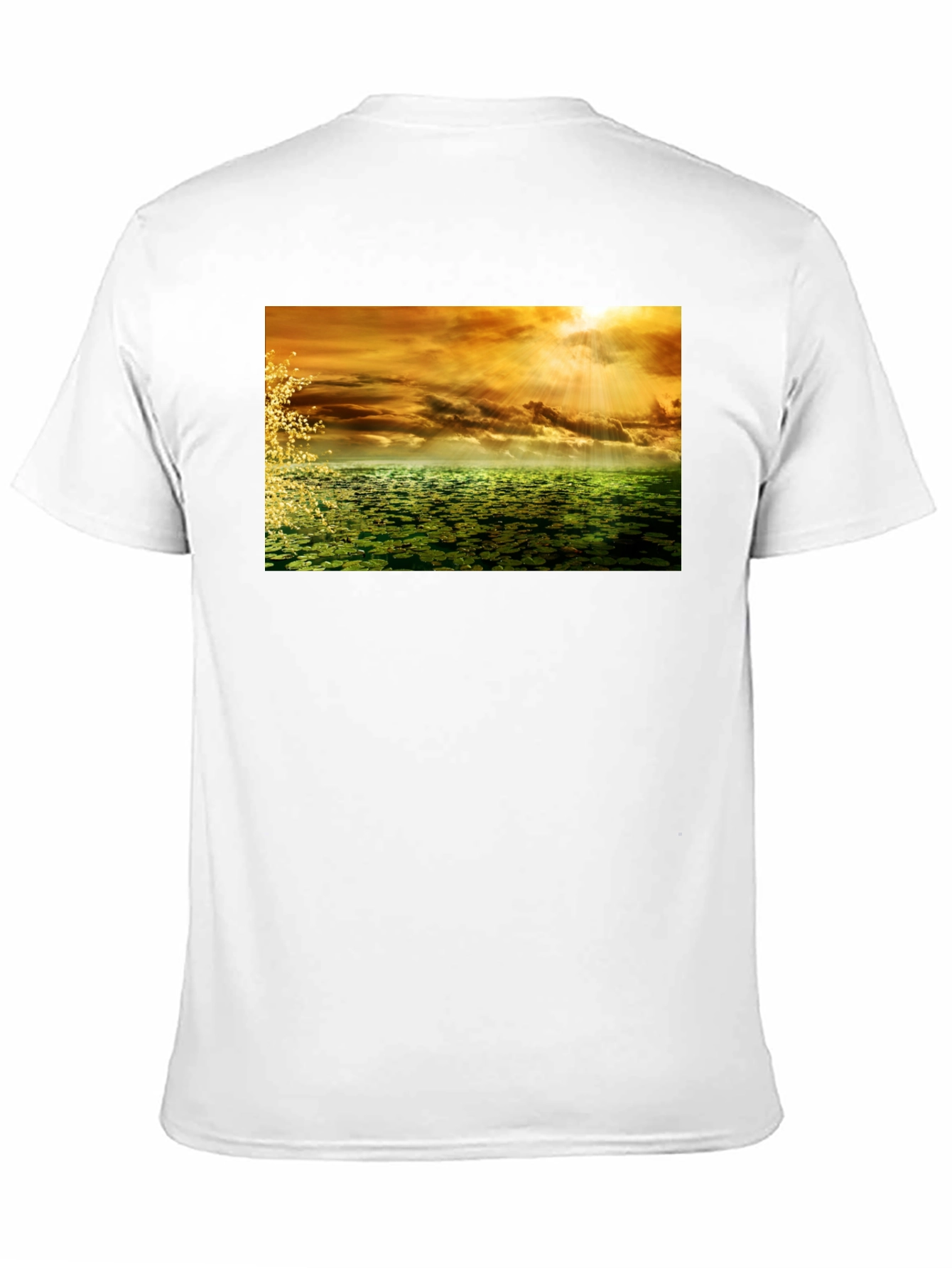 Natures Reflection Graphic Tee