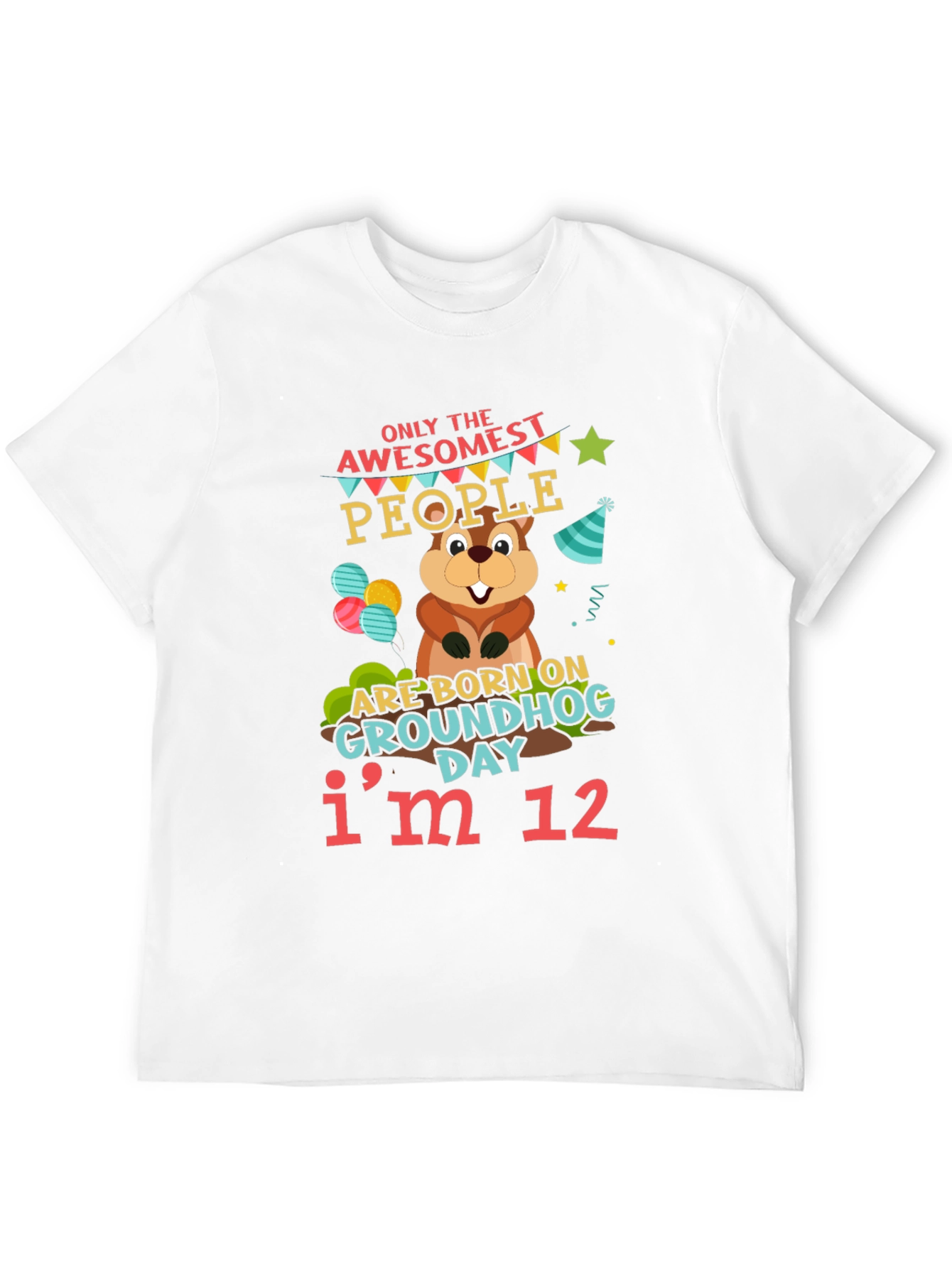Awesome Groundhog Day 12th Birthday T-Shirt