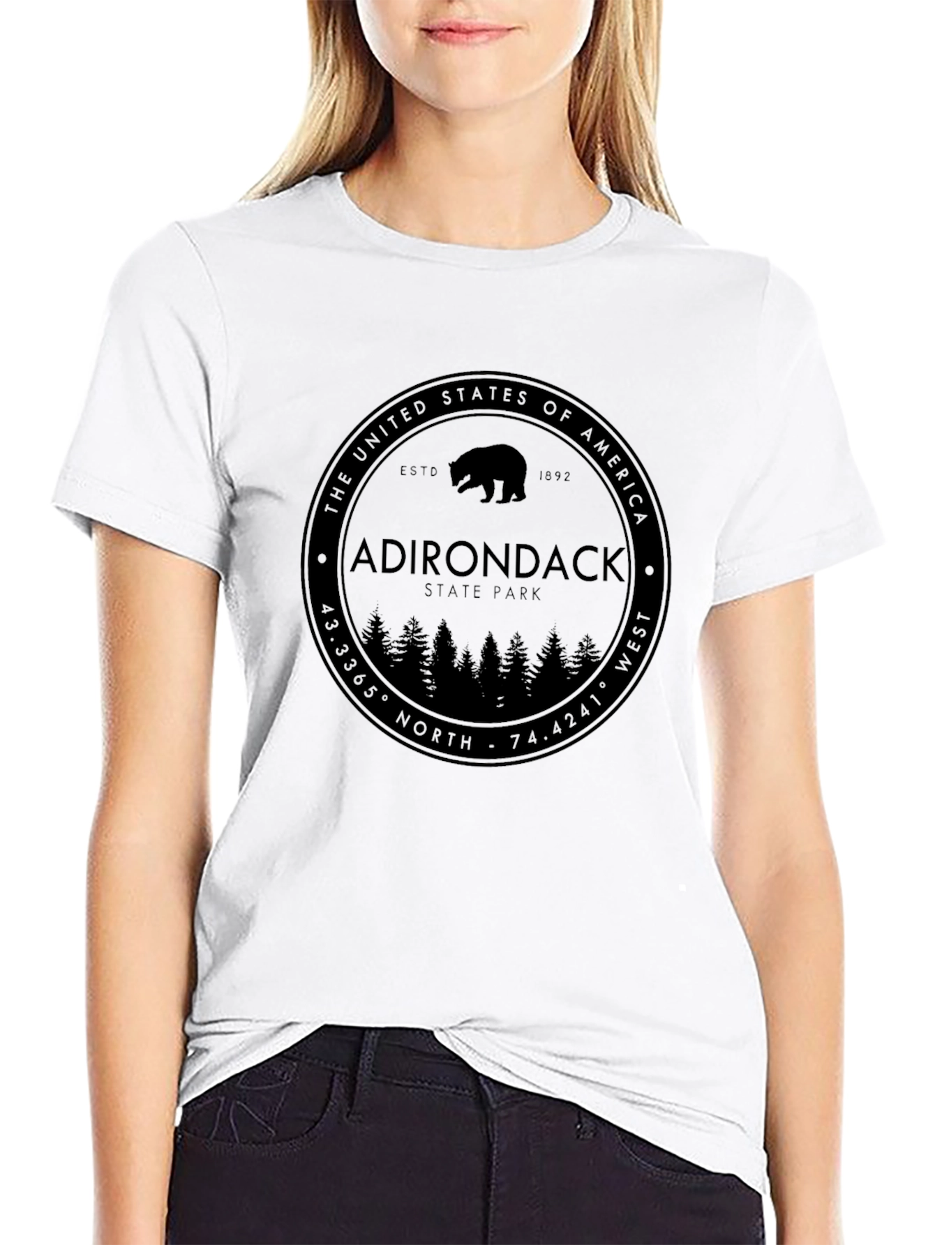 Adirondack State Park Black T-Shirt