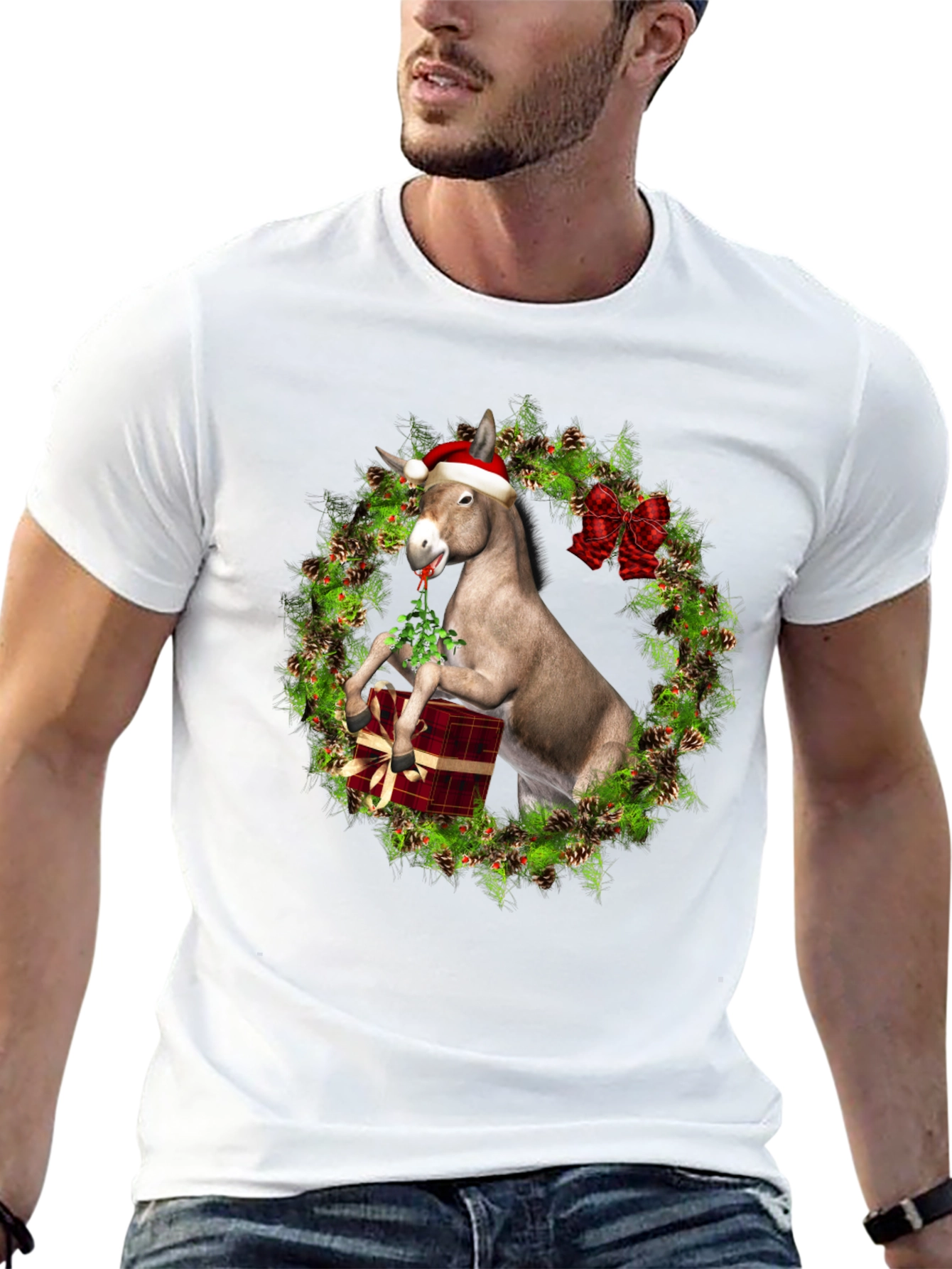 Festive Donkey T-Shirt