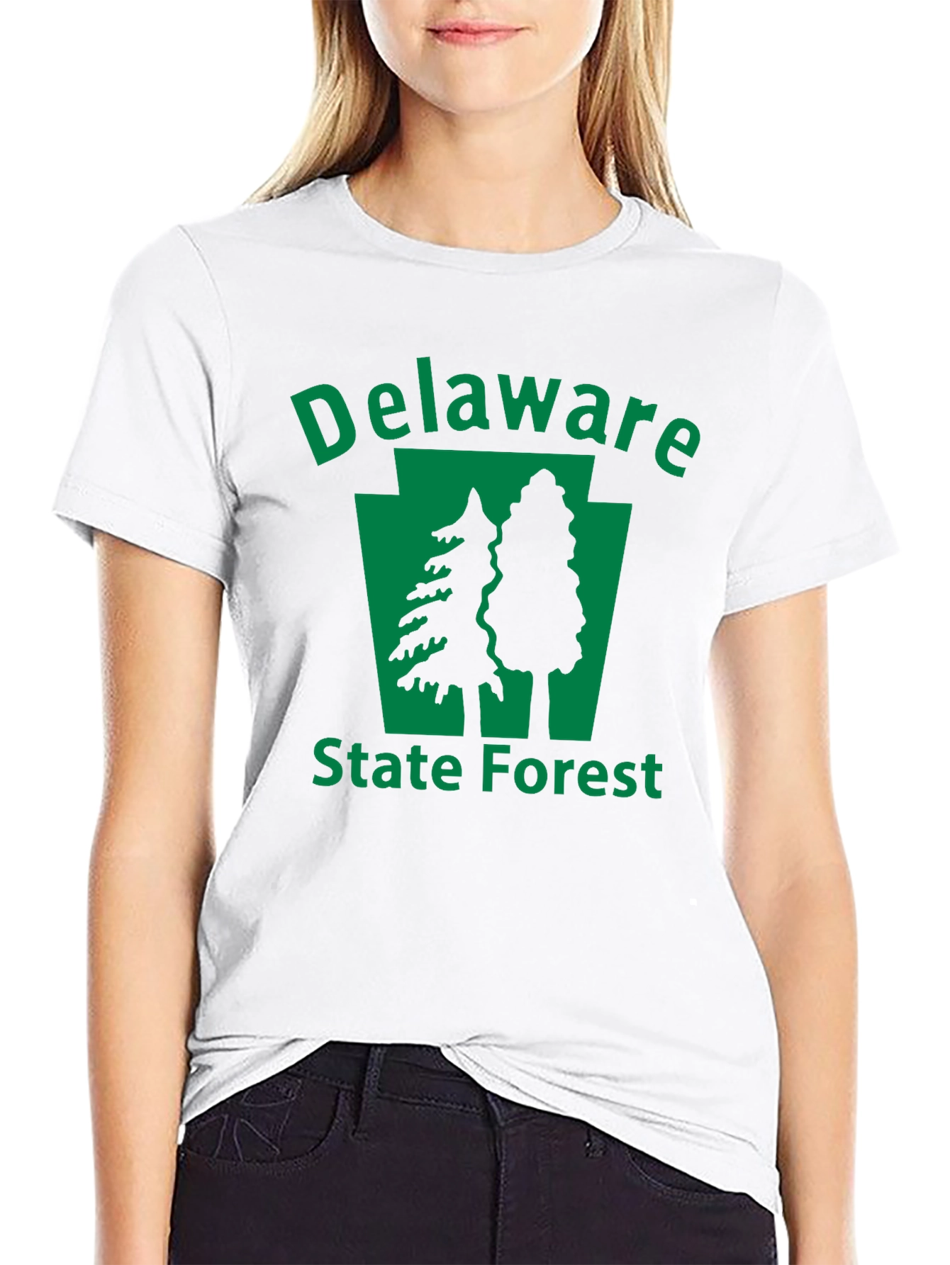 Delaware State Forest Black T-Shirt