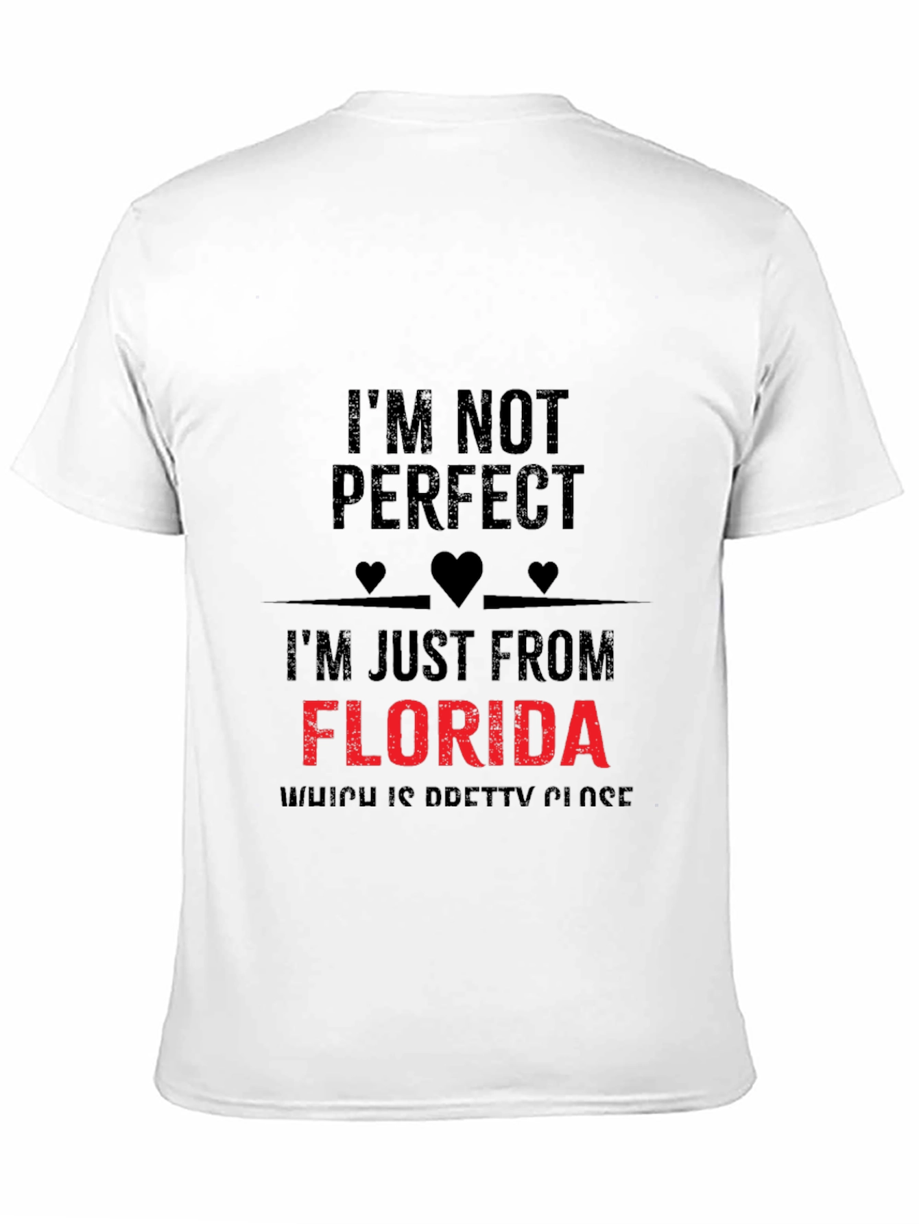 Im Not Perfect Florida T-Shirt