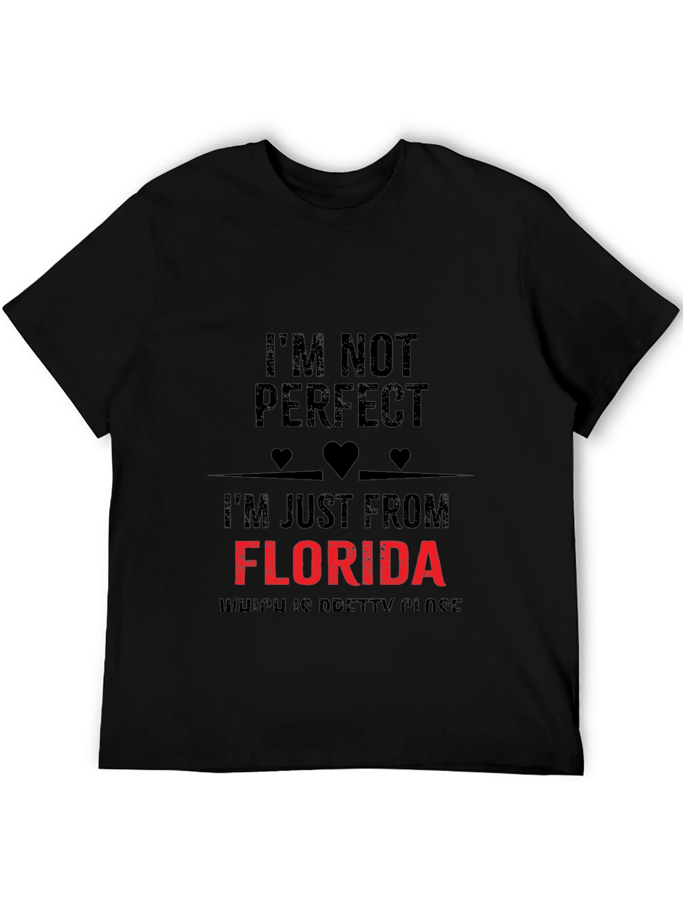 Im Not Perfect Florida T-Shirt