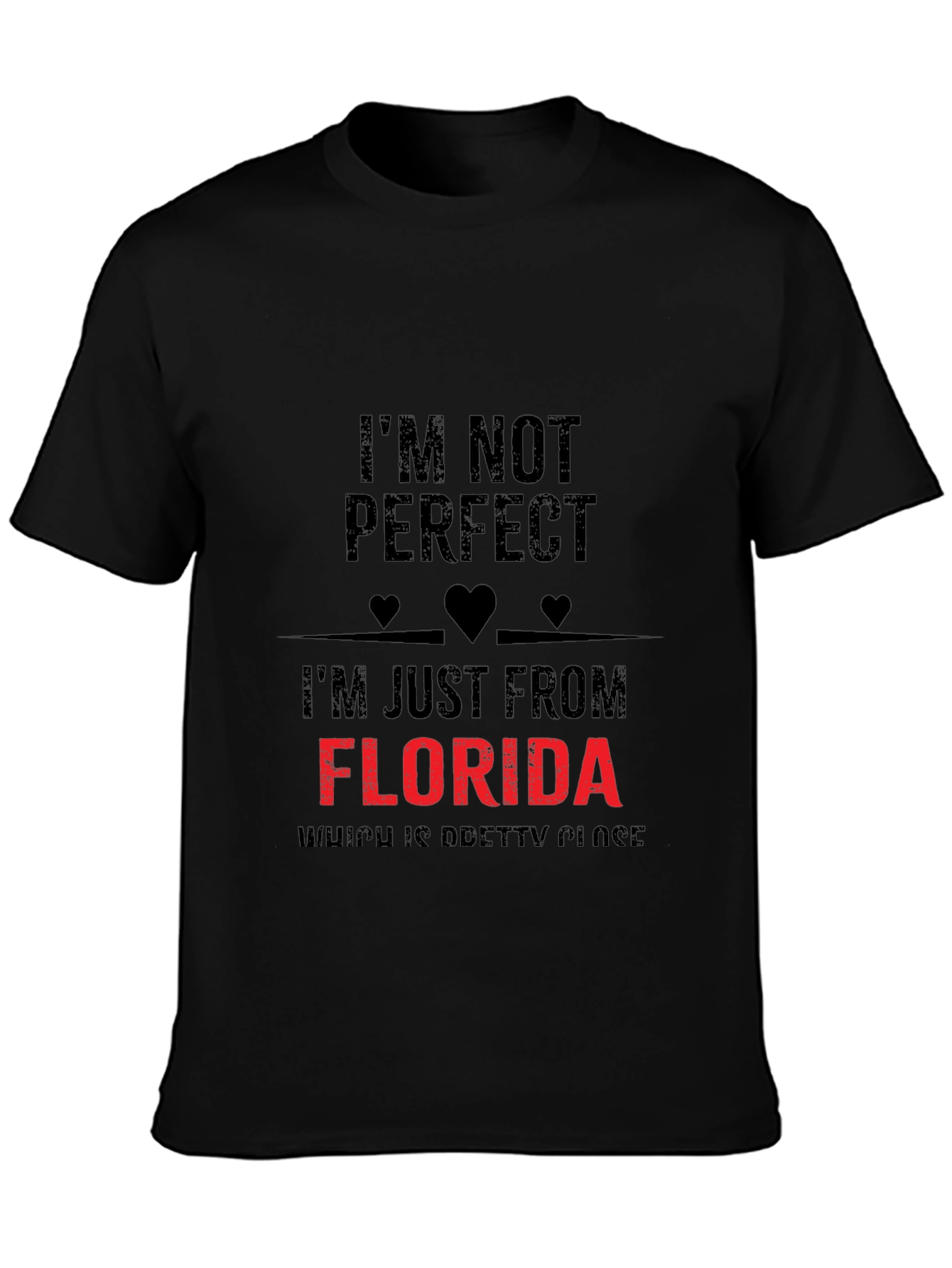 Im Not Perfect Florida T-Shirt
