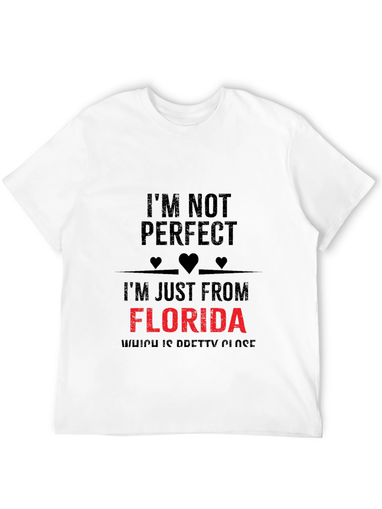 Im Not Perfect Florida T-Shirt