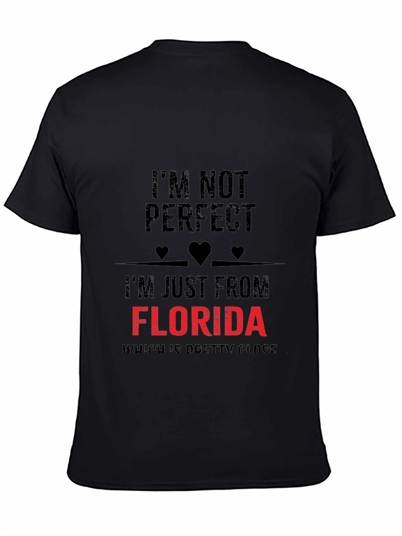 Im Not Perfect Florida T-Shirt