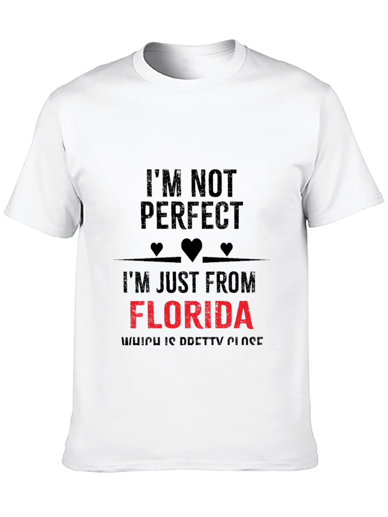 Im Not Perfect Florida T-Shirt