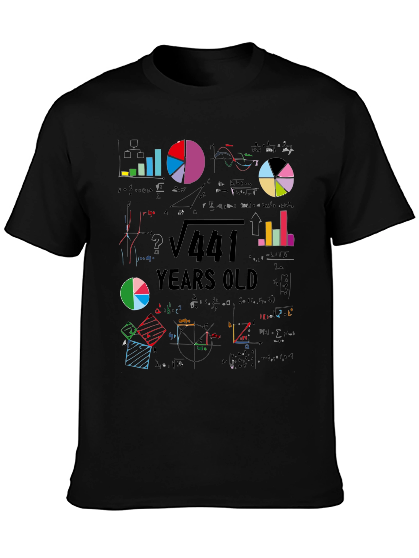 Math 441 Years Old T-Shirt