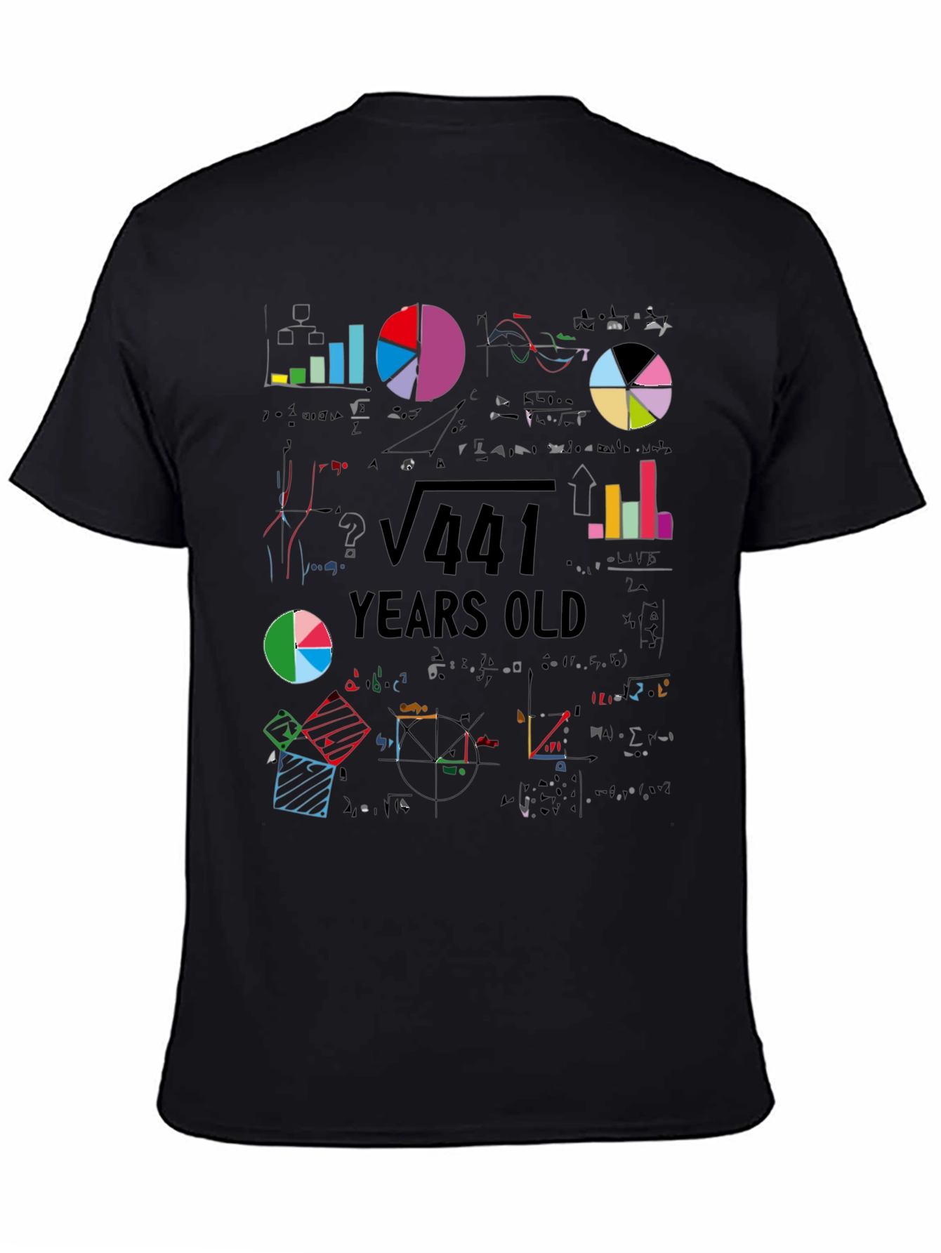 Math 441 Years Old T-Shirt