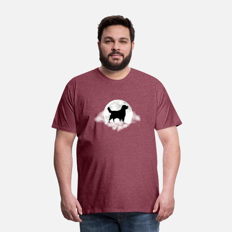 Golden Retriever For