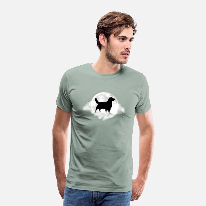 Golden Retriever For