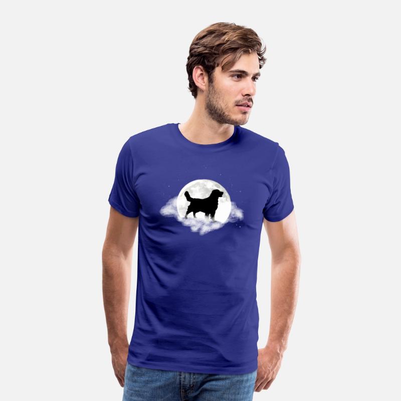 Golden Retriever For