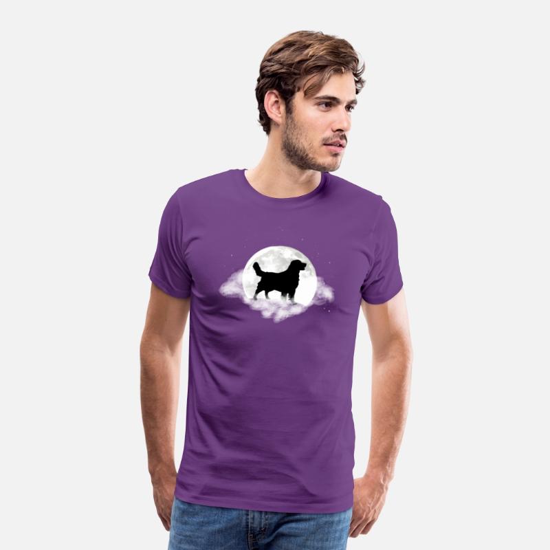 Golden Retriever For