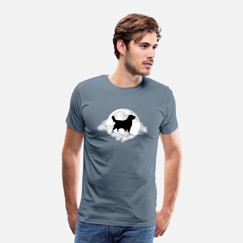 Golden Retriever For