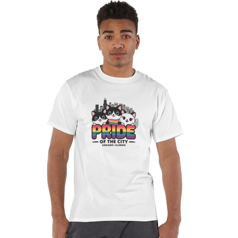 Pride of Chicago City Illinois USA Rainbow Flag