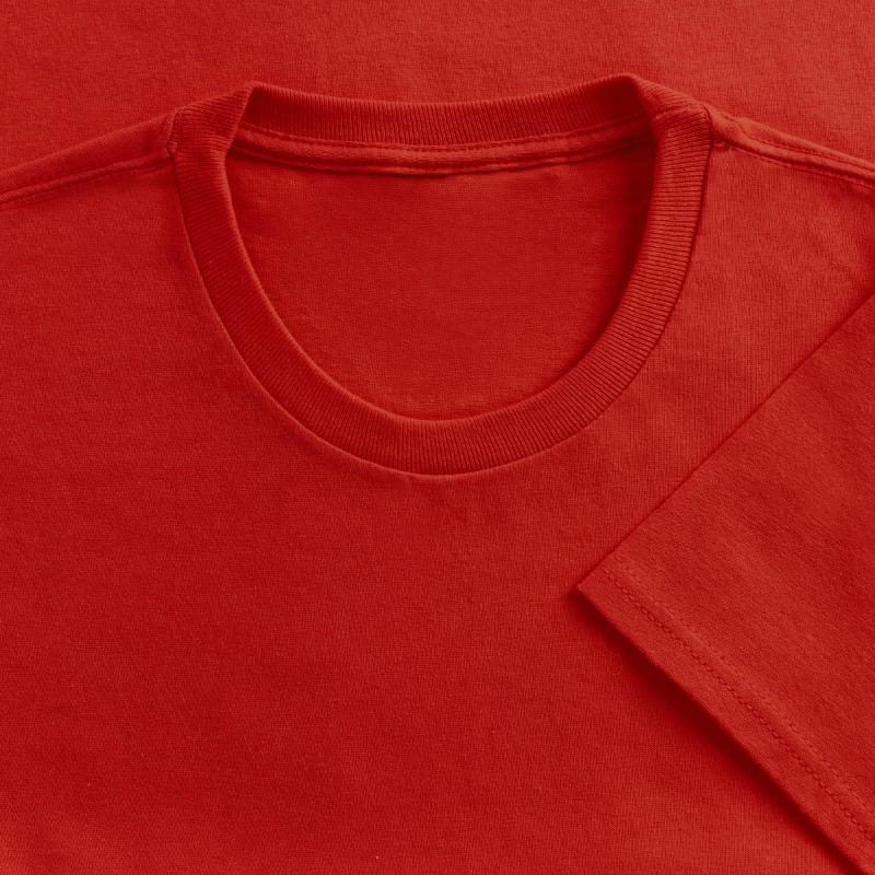 Robin Bird Passerines Pet Bird