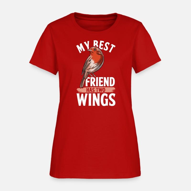 Robin Bird Passerines Pet Bird