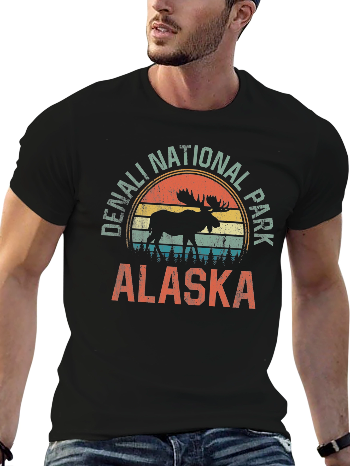 Denali National Park Alaska Graphic Tee